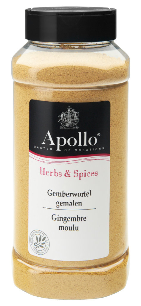 Apollo Gingembre racine moulue 300g