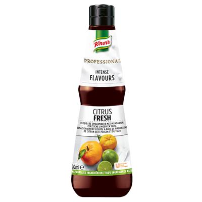 Knorr Professional internse flavous citrus fresh 400ml