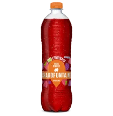 Chaudfontaine bio l dark berry pet 24x50cl