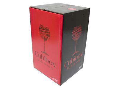 Cubibox rouge 10 liter