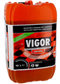 Vigor original 10L