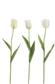 Meka (230091) 3D Tulp White 11x80g