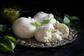 Spuntini frozen burrata 8x120g