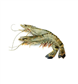 Gamba Bt 16/20 Biebuyck 1Kg